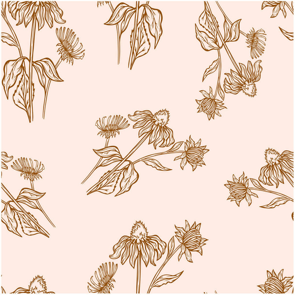 Buket ekinezya desenli dikişsiz çiçekler doğa bitki arka plan vektörü duvar kağıdı tıbbi bitkiler çizimi - Vektör, Görsel