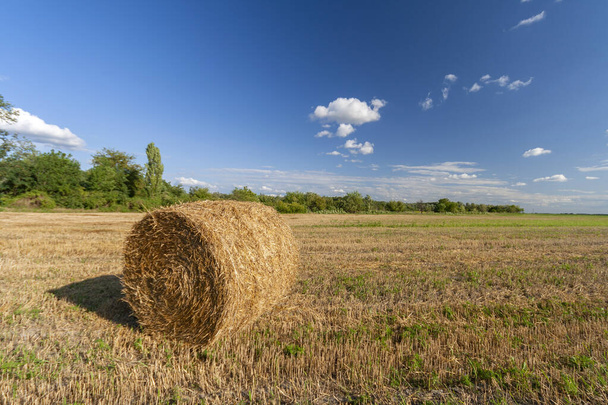 Mezőgazdasági terület szénabálákkal és kék égbolttal. Vidéki természet a mezőgazdasági területen Magyarország - Fotó, kép