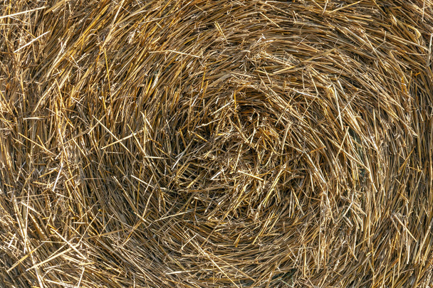 Zblízka záběr balíku sena. Venkovská příroda v zemědělské půdě Maďarsko - Fotografie, Obrázek