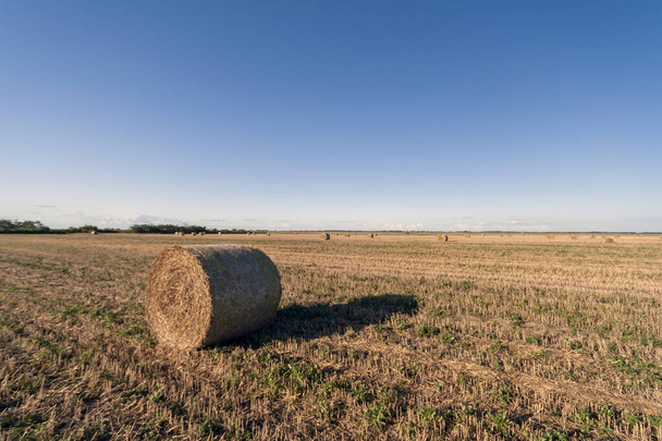 Campo agrícola con fardos de heno y cielo azul. Naturaleza rural en la finca Hungría
 - Foto, Imagen