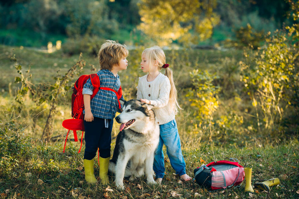 Children camping with pet dog. Children and dog exploring. Summer portrait of happy cute children - sister and brother with dog pet. Camping tourism and vacation concept. - Valokuva, kuva