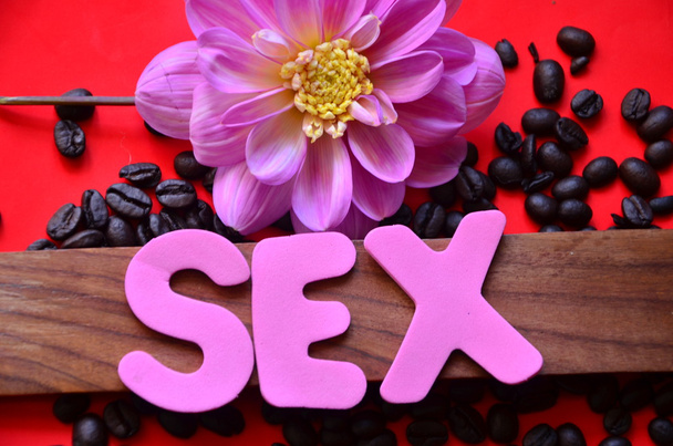 Word sexe
 - Photo, image