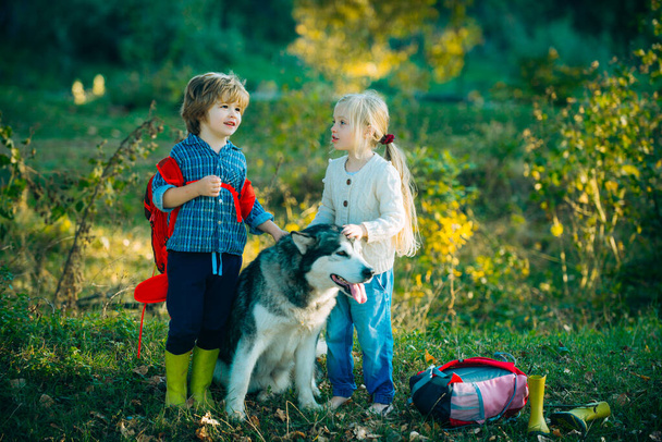 Children and dog on nature background. Children camping with pet dog. - Fotoğraf, Görsel