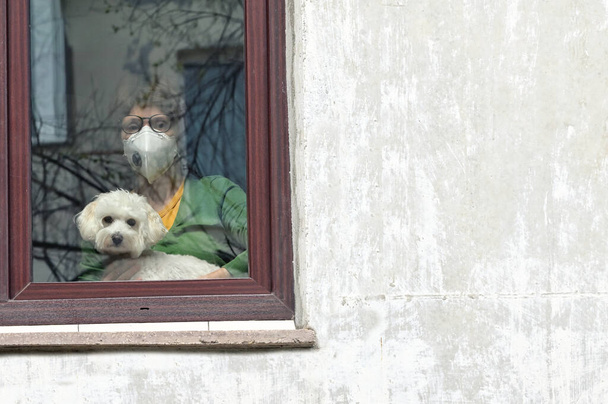 Samotna kobieta z psem wyglądającym przez okno - Zdjęcie, obraz