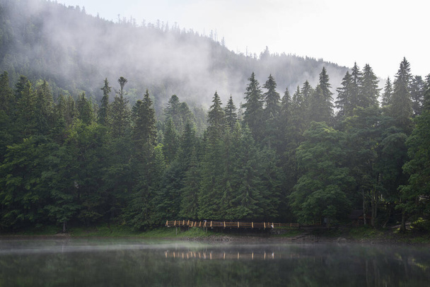 湖Synevyrに霧の朝。カルパティア山脈,ウクライナ - 写真・画像