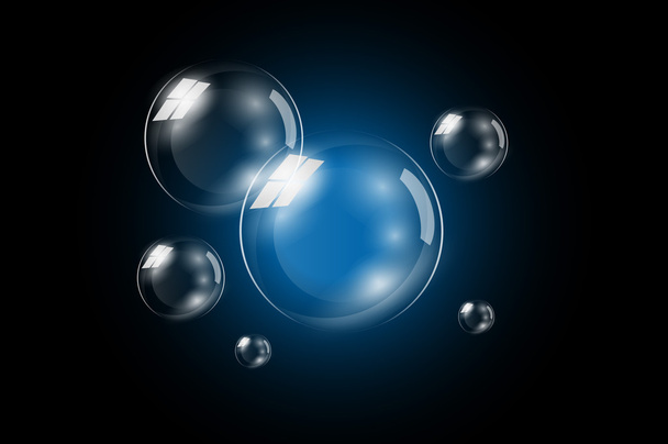  soap bubble - Photo, image
