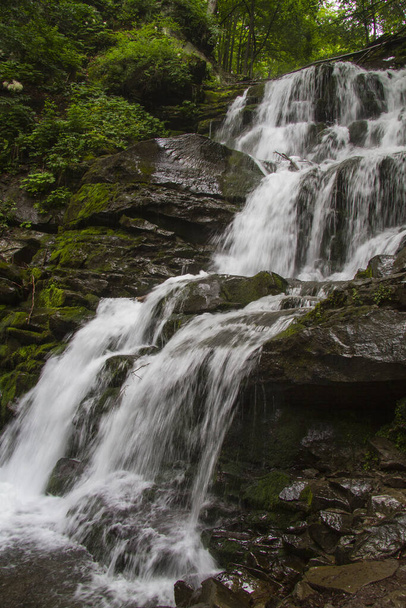 Hermosa cascada Shypit en las montañas de los Cárpatos, cerca de la aldea Pylypets, Transcarpathian
 - Foto, imagen