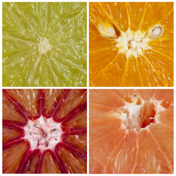 柑橘類のスライスマクロの背景のセット - 写真・画像