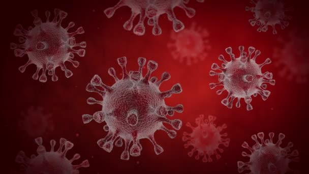 Coronavirus infection in the blood through a microscope. Motion graphics 3D. 4K Ultra HD - Footage, Video