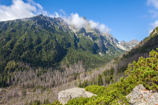 Beautiful view in the Tatra Mountains - Photo, Image
