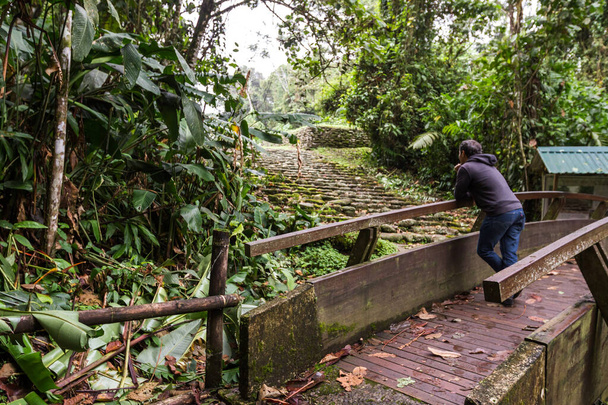 コスタリカの山の中で2000年以上も繁栄した古代文明の遺跡を賞賛する橋の上に立つ男. - 写真・画像