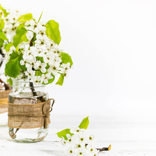 Beautiful Spring Apple Blossoms on white background. Spring Design Concept with copy space. Selective focus. - Valokuva, kuva