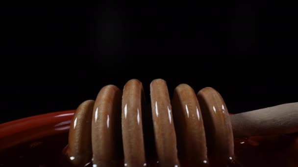 Honey Glistens on Dipper in Bowl em fundo escuro
 - Filmagem, Vídeo