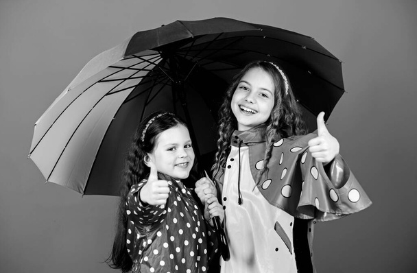 Rainy weather with proper garments. Happy childhood. Bright umbrella. It is easier to be happy together. Be rainbow in someones cloud. Walk under umbrella. Kids girls happy friends under umbrella - Zdjęcie, obraz