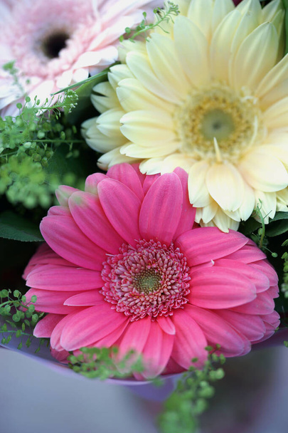 花色の大きなゲルベラの花束の終わり  - 写真・画像