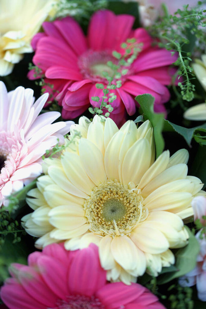 Gyönyörű csokor sokszínű nagy gerbera virágok  - Fotó, kép