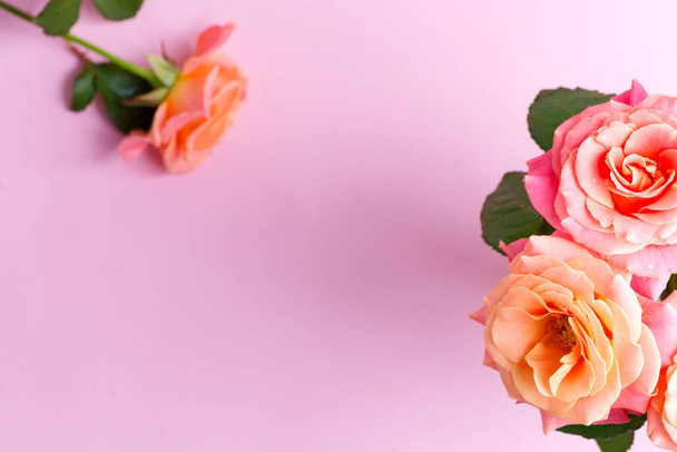 Kartka ramki z naturalnego bukietu świeżo zebranych kwiatów róż na pastelowym różowym tle. - Zdjęcie, obraz