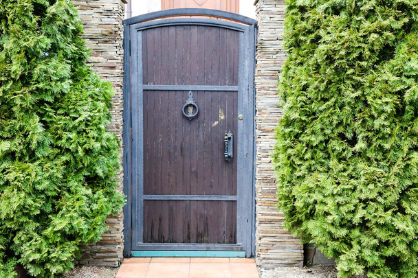 Ancient door. Old wooden brown door - Photo, Image