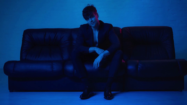handsome man in suit sitting on sofa and looking at camera on blue - Footage, Video