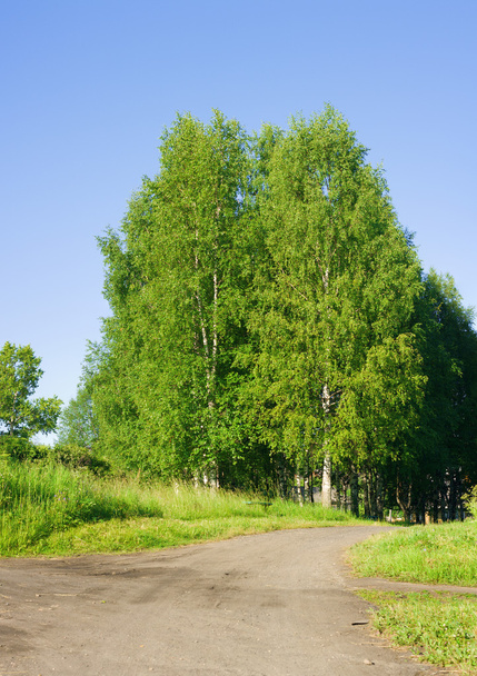 Rural road - Valokuva, kuva