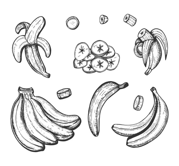 Vector illustration of banana set. Single, chips, sliced, bunch, open, closed, pieces. Vintage hand drawn style. - Vettoriali, immagini