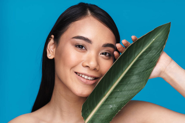 Photo of a beautiful positive smiling asian young woman posing isolated over blue wall background with green plant leaf. - Φωτογραφία, εικόνα