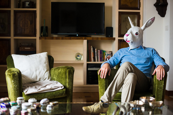 елегантна бізнес багатозадачна маска для кролика вдома
 - Фото, зображення