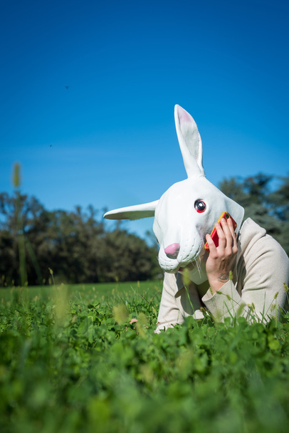 joven hipster conejo máscara mujer en el teléfono
 - Foto, Imagen