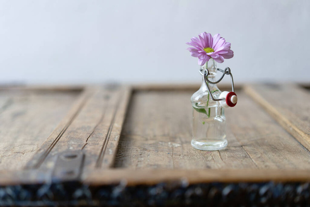 Primer plano de una flor de verano violeta en una pequeña botella de vidrio sobre un mueble rústico de madera en mal estado frente a una pared blanca
 - Foto, Imagen