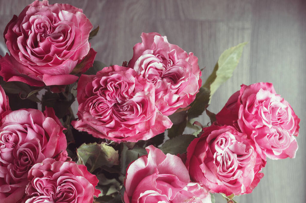 Grandes rosas caseras hermosas y delicadas rosas rosadas. Declaración de amor. Un regalo romántico para tu amada
. - Foto, imagen