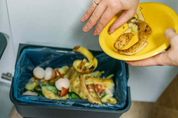 Food Loss and Food Waste. Reducing Wasted Food At Home. Solving the problem of Food waste. - 写真・画像