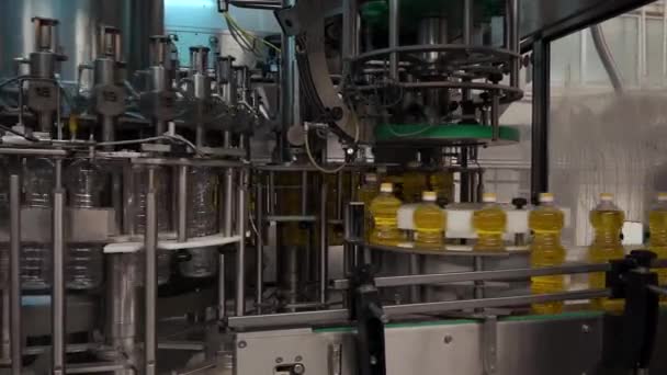 Óleo de girassol na garrafa em movimento na linha de produção. Fábrica de produção de óleo de girassol - Filmagem, Vídeo