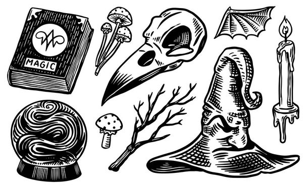 Mystical boho elements. Witchcraft astrological set. Esoteric alchemy religion occult sketch for tattoo or T-shirts. Spellbook, Witches Hat, Bird Skull, Magic Ball. Drawn Engraved vector illustration. - Вектор, зображення