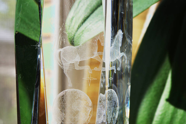 Glas etsen en bladeren van planten gereflecteerd in een spiegel - Foto, afbeelding