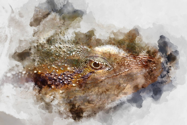 Aquarelle numérique d'un dragon barbu
 - Photo, image