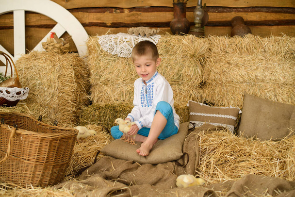 Bellissimo ragazzo in camicia ucraina ricamata siede su mucchio di fieno, gioca con i polli
 - Foto, immagini