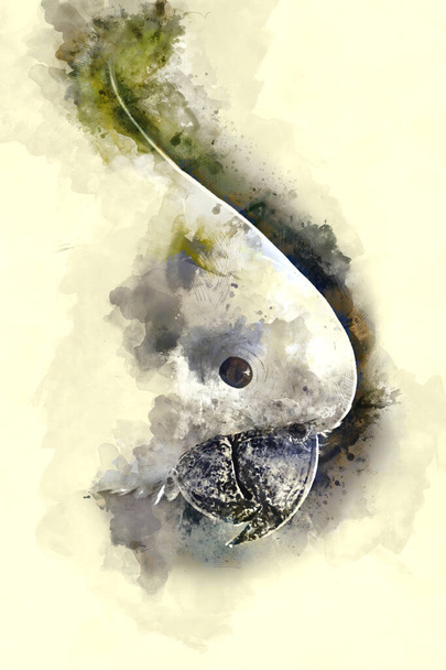 Cyfrowy artyzm - Malarstwo akwarelowe australijskiego kakadu - Zdjęcie, obraz
