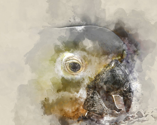 Digitaalinen taiteellisuus - akvarellimaalaus kakadusta, joka syö siemeniä terävällä nokallaan
 - Valokuva, kuva