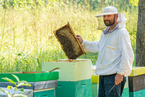 Apicultor en el trabajo. El apicultor salva a las abejas. - Foto, Imagen