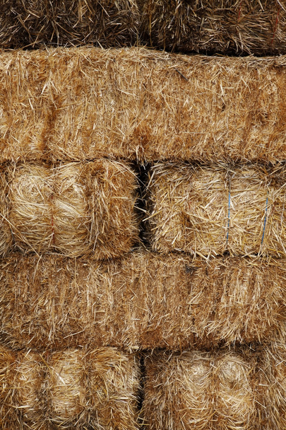 haystack - Photo, Image