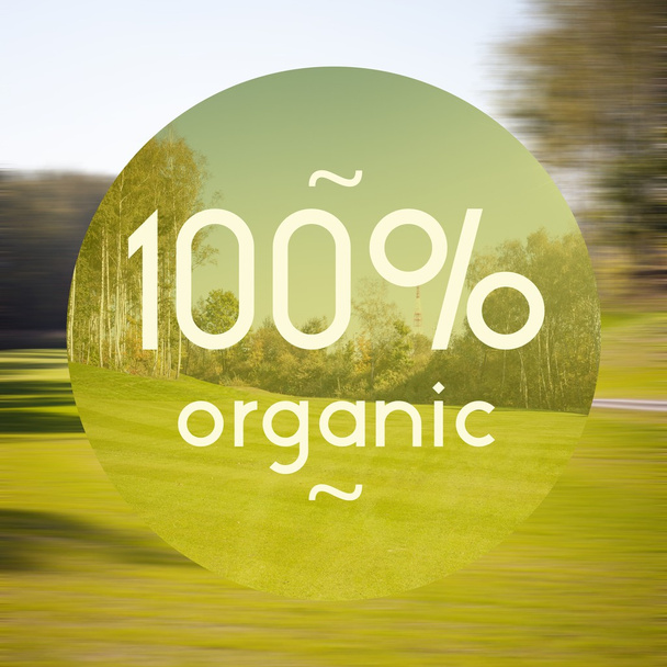 100 organic poster, illustration natural products - Fotografie, Obrázek