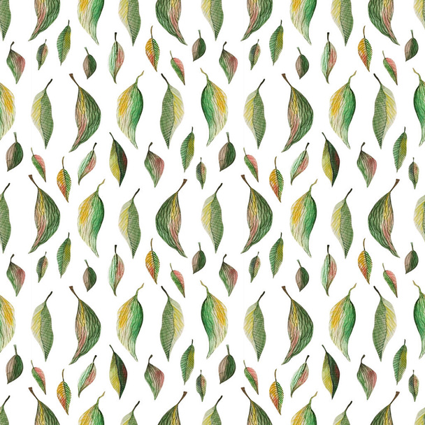 Green leaves watercolor seamless pattern. Botanical painting illustration isolated on white background. Summer Hand drawn illustration. Herbs for cosmetics, package, textile, cards, decoration - Photo, image