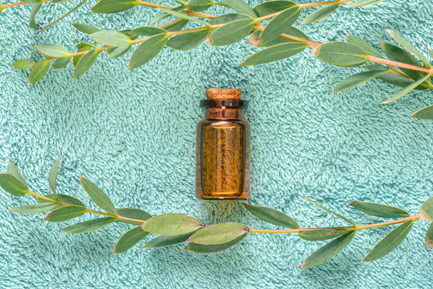 Eucalyptus essential oil in the bottle and a tree eucalyptus tree branch with green leaves on a bath towel background close up. - Фото, изображение