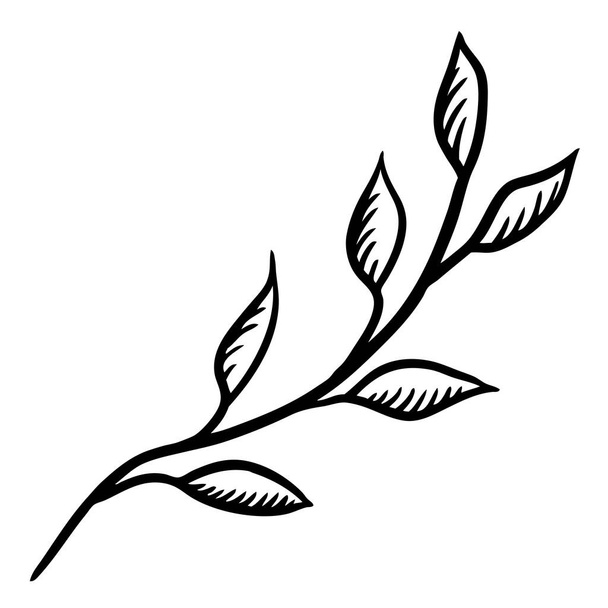 Zweig mit Blattsilhouette stilisiert - Vektor, Bild
