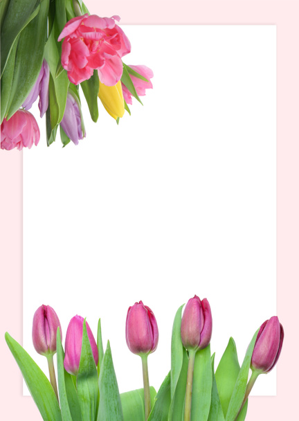 Hermosa tarjeta de felicitación con tulipanes
 - Foto, imagen