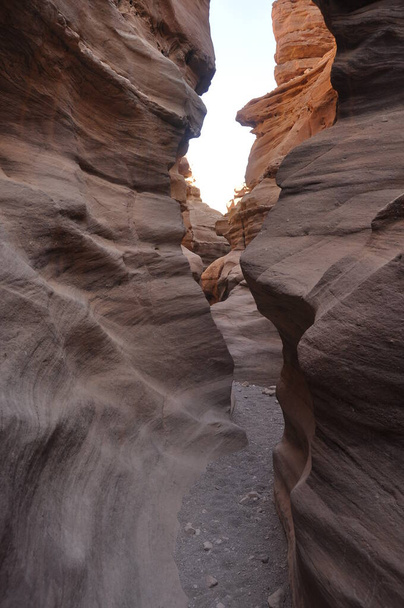 Red canyon in Israel near Eilat. Picturesque and undulating rocks hollowed out by rain in sandstone in the Negev desert. - Photo, Image