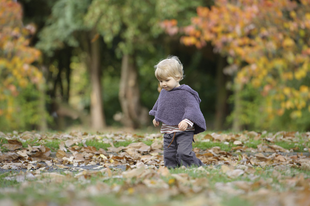 little toddler in an autumn park - Foto, afbeelding