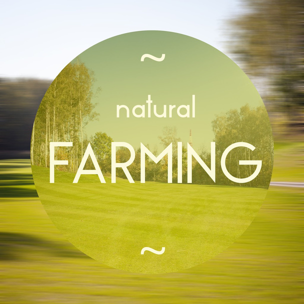 Natural farming poster illustration of eco-friendly business - Foto, immagini