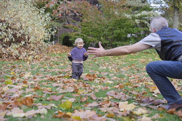 little toddler in an autumn park - Fotó, kép