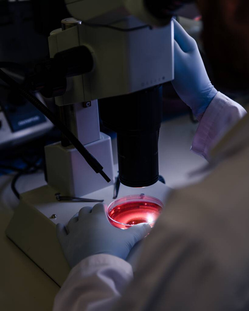 A vertical closeup shot of a person studying coronavirus particles with a microscope - Photo, image